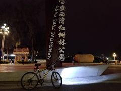 -宝安西湾红树林湿地公园