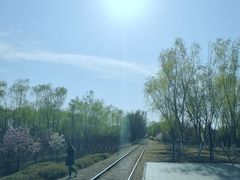 -永定河休闲森林公园