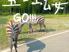 -长兴太湖图影湿地文化园