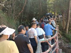 -石台牯牛降景区