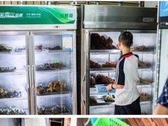 -红牌楼老号串串(银海佳苑店)