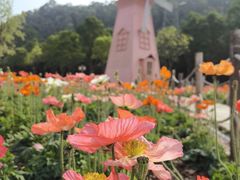 -顺峰山公园