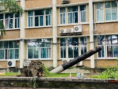 -四川大学(望江校区)