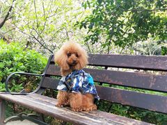 -杭州半山国家森林公园