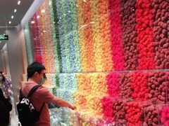 -天虹购物中心(石路店)