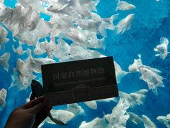 -国家自然博物馆