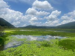 -腾冲北海湿地