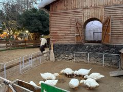 -HERRE·FARM 赫尔露营农场·团建聚会包场