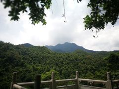 -鼎湖山风景区