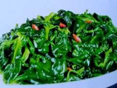 清炒穿心莲-同和居(什刹海店)