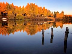 -塞罕坝国家级自然保护区