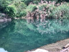 -东海大峡谷