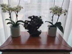 -联合丽格·张菡丽格医疗美容