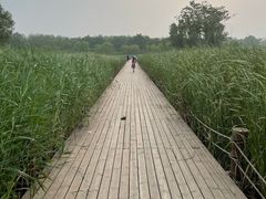 -马家湾湿地公园