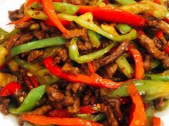 野山椒牛肉丝-新新湘菜馆(新中街二条店)