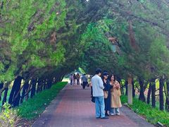 -洛阳市隋唐城遗址植物园