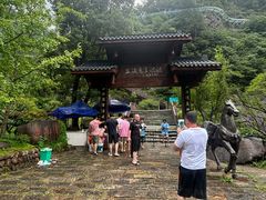-龙井峡漂流