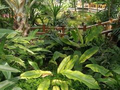 -北京植物园-展览温室