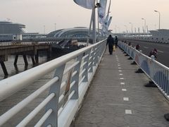 -吴淞口国际邮轮码头-停车场