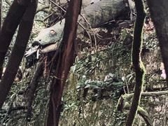 -梦幻奥陶纪景区