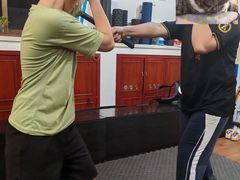-温鉴良实用咏春拳