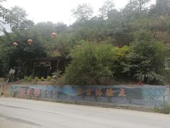 -跃进桥火烧鸡(怒江西岸店)