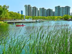 -新江湾城公园