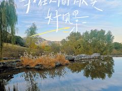 -北京西山国家森林公园