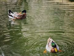 -三里河公园