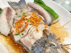 -寻味顺德·南记酒家·传统顺德菜·鱼生(广源路店)