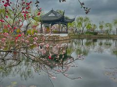 -无锡蠡湖国家湿地公园-蠡园