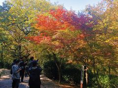 -青岛崂山太清宫
