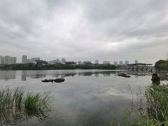 -金鸡湖景区