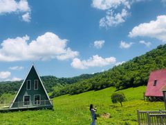 -关山草原