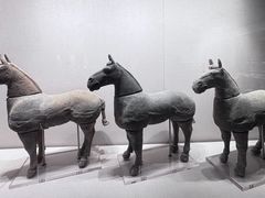 -徐州博物馆