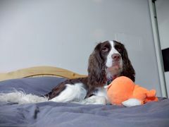 -喵汪宠物生活馆(涞坊路店)