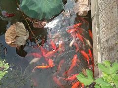 -绍兴大禹开元观堂-若耶厅