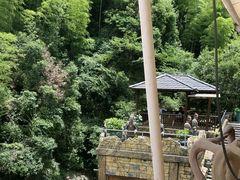 -将军关探险漂流