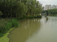 -昆山城市生态森林公园