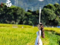 -光明小镇欢乐田园