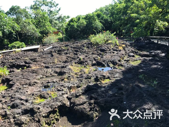 火山口国家地质公园(海口园区)图片 第5张