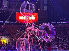 -俄罗斯国家大马戏团