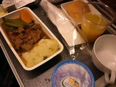 -新加坡航空公司(ION)