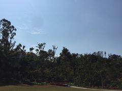 -厦门悦华酒店