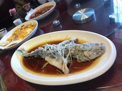 -胖大姐黄辣丁鱼庄(新津店)