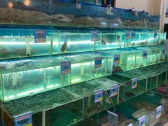 水产区-琼大师东方烤乳猪(亚特兰蒂斯店)