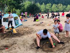 -东郊湿地公园