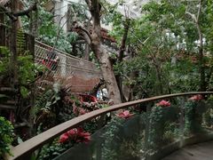 -正佳雨林生态植物园