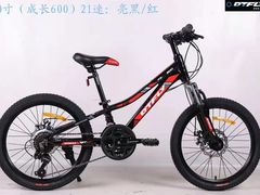 -道路口单车爱瓦士dahon大行