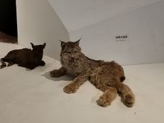 -重庆自然博物馆(新馆)